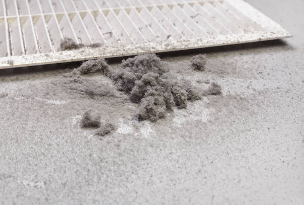 Best Professional Duct Cleaning Services  in Sylvan Springs, AL